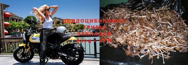 прущие крисы Нея