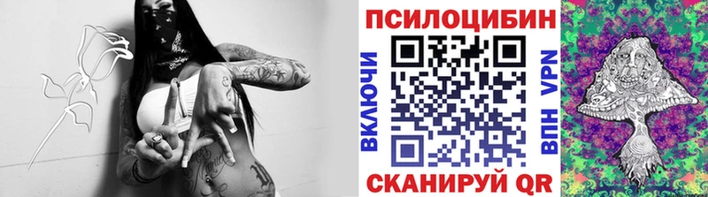 Псилоцибиновые грибы GOLDEN TEACHER Богучар