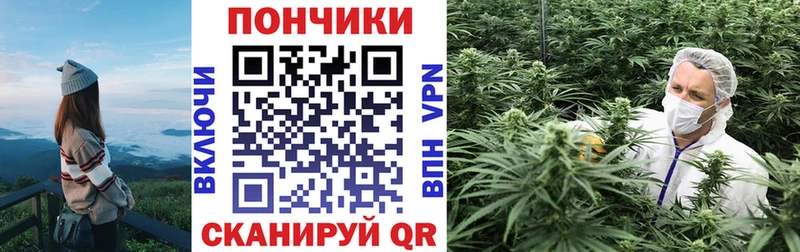купить  сайты  hydra   Конопля Bruce Banner  Богучар 